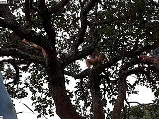 Blonde And Brunette Pounded On Street Tree Public Orgy