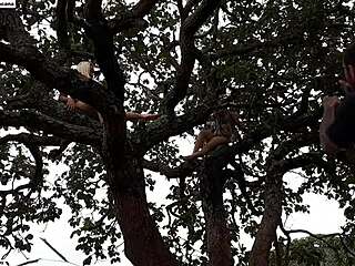 Blonde And Brunette Pounded On Street Tree Public Orgy