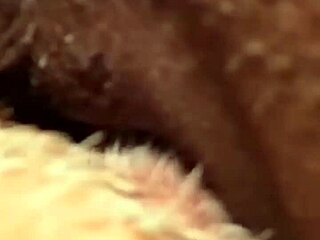 Flowerandlouis morning laughs lead passionate pussy licking moans