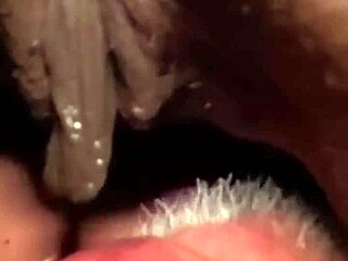 Flowerandlouis morning laughs lead passionate pussy licking moans