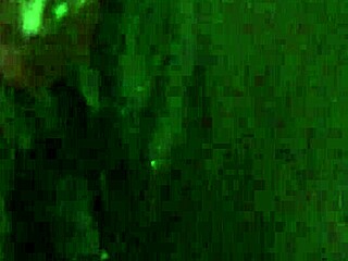 close up ebony amateur dildo fucking homemade pussy toy creampie play