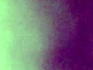 wet pussy and tight asshole begging for doggystyle pounding homemade 😍🍑💦