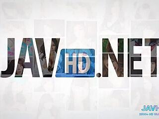 아시아 미시 펠라 모음집 4