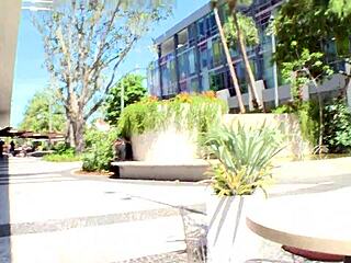 riley reed wants your pov cock contest