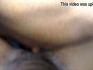 slim shaved bitch gets licked fucked and rides cock wildly