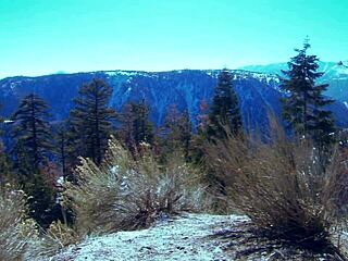 Blonde Milf August Taylor Fucked Doggystyle Gaping Pussy by New Boyfriend's Huge Cock!