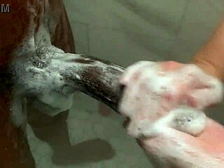 big sis latina rides monster bbc secretly