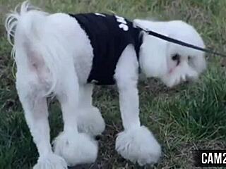 Blonde Teen Pornstar Fucked Hardcore Free Video