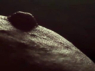 hey come closer while i pinch and tease my fat left nipple