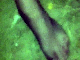 I'm lost in the woods... just g-string fishnets clingin to my naked skin