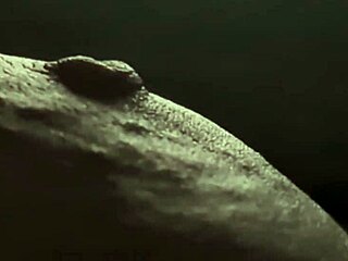 hey come closer while i pinch and tease my fat left nipple