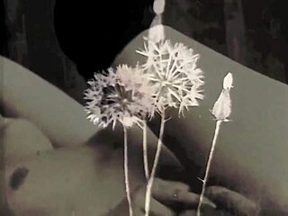 vintage milf reveals hairy pussy in erotic silent retro tale