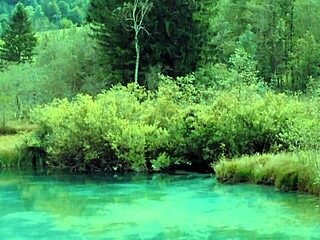 5 Shocking Reasons Girls Squirt Instead Of Cum!