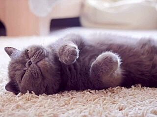 5 Shocking Reasons Girls Squirt Instead Of Cum!