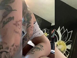 say it louder white slut... black lives matter to your black master!