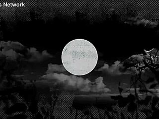 miami brunette twerks huge natural tits for florida traffic eyes