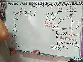 i dive into asian teacher nerd triangle passion