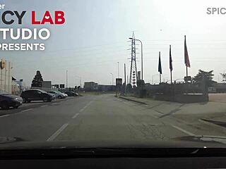 nikki riddle picked up for rough anal pounding