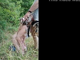 slave babe highway piss and blowjob action 🚗💦👅