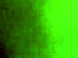 alineflavio's steamy homemade update august 2024