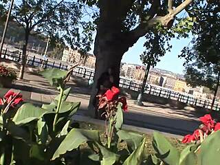 simone flashes big cock in budapest stockings?