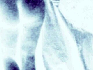 Vintage Erotic Art Collection