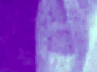 Vintage Erotic Art Collection