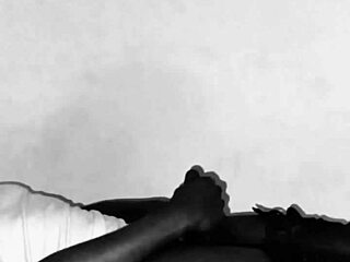 wrestling vibes hit with nwo llamasr nickname ideas