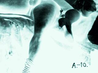 Vintage Erotic Art Collection