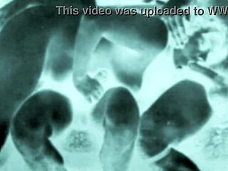 Vintage Erotic Art Collection