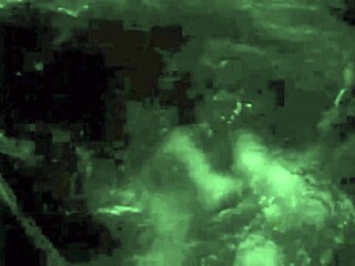 Discovering my secret vintage erotic hairy pussy adventures