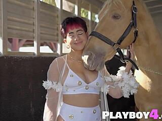 Big Tits Latina Babe Strips Rides Playboy