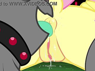 Canaryprimary Signs Non-Aggression Pact Agreement