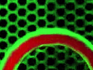 rome major pounds alicia reign n selena so good