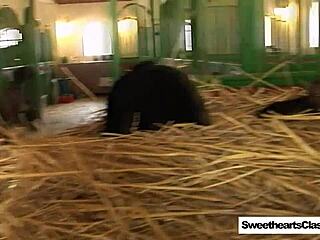 natural big tits teens lick pussies outdoors