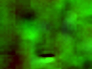 Hotel Lover's Thick Ass Temptation