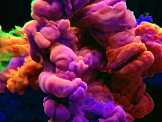 Líder religioso ruivo pagou caro e viciou no meu cu apertado