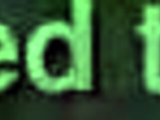 Hotel Lover's Thick Ass Temptation