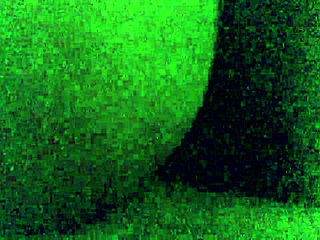 Hotel Lover's Thick Ass Temptation