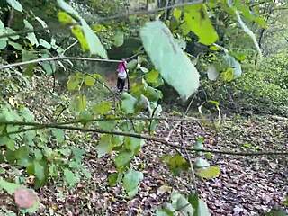 rough forest spank then cum in mouth?