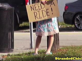 so i picked up this cute hitchhiking teen brunette with tattoos. pierced shaved pussy fucked pov outdoors on car.