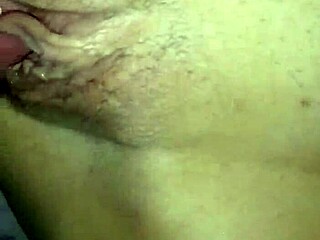 Wife Shared with Cuckold Bulls Wildly