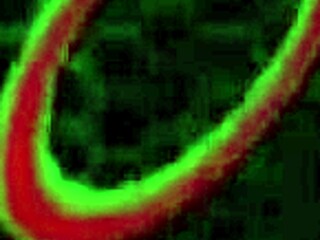 Lexi love, love rome major eating your pussy before pounding?