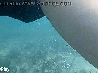 bbw milf takes underwater creampie pussy fill swim