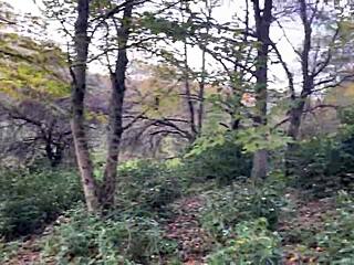 rough forest spank then cum in mouth?