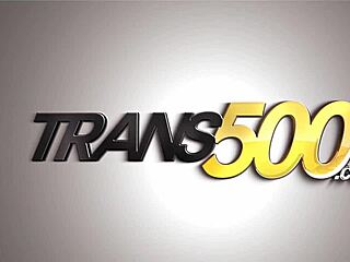 rough shemale orgy anal pounding big ass pussy group transsexual frenzy