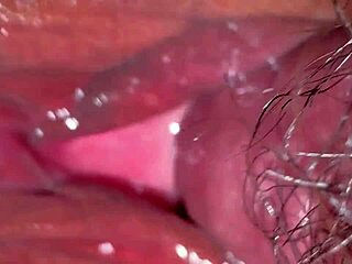 virgin wife shaves pussy for first christmas cock closeup