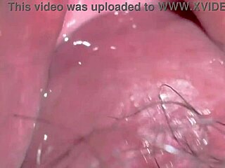 virgin wife shaves pussy for first christmas cock closeup