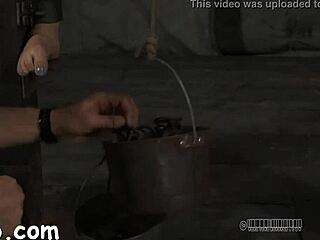 wanna join this hardcore bdsm pussy fucking contest?