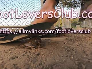 giantess maria crushes snails under feet unaware latina fetish